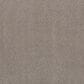 Shaw Live On Comfort Carpet in Afterglow, , large