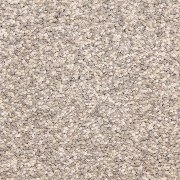 Dixie Home Debut Carpet in Casual, , large