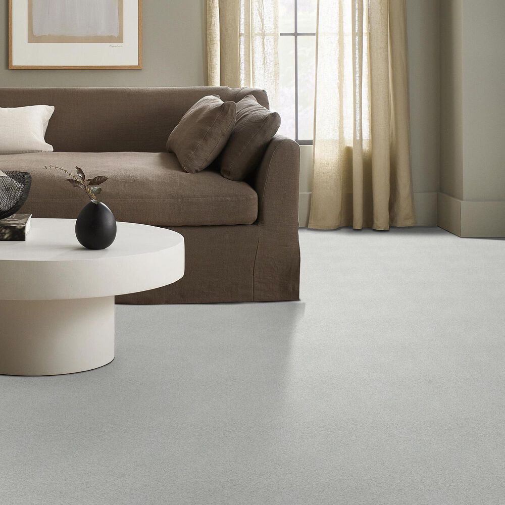 Shaw Tonal Comfort I Carpet in Whitewashed Frame, , large