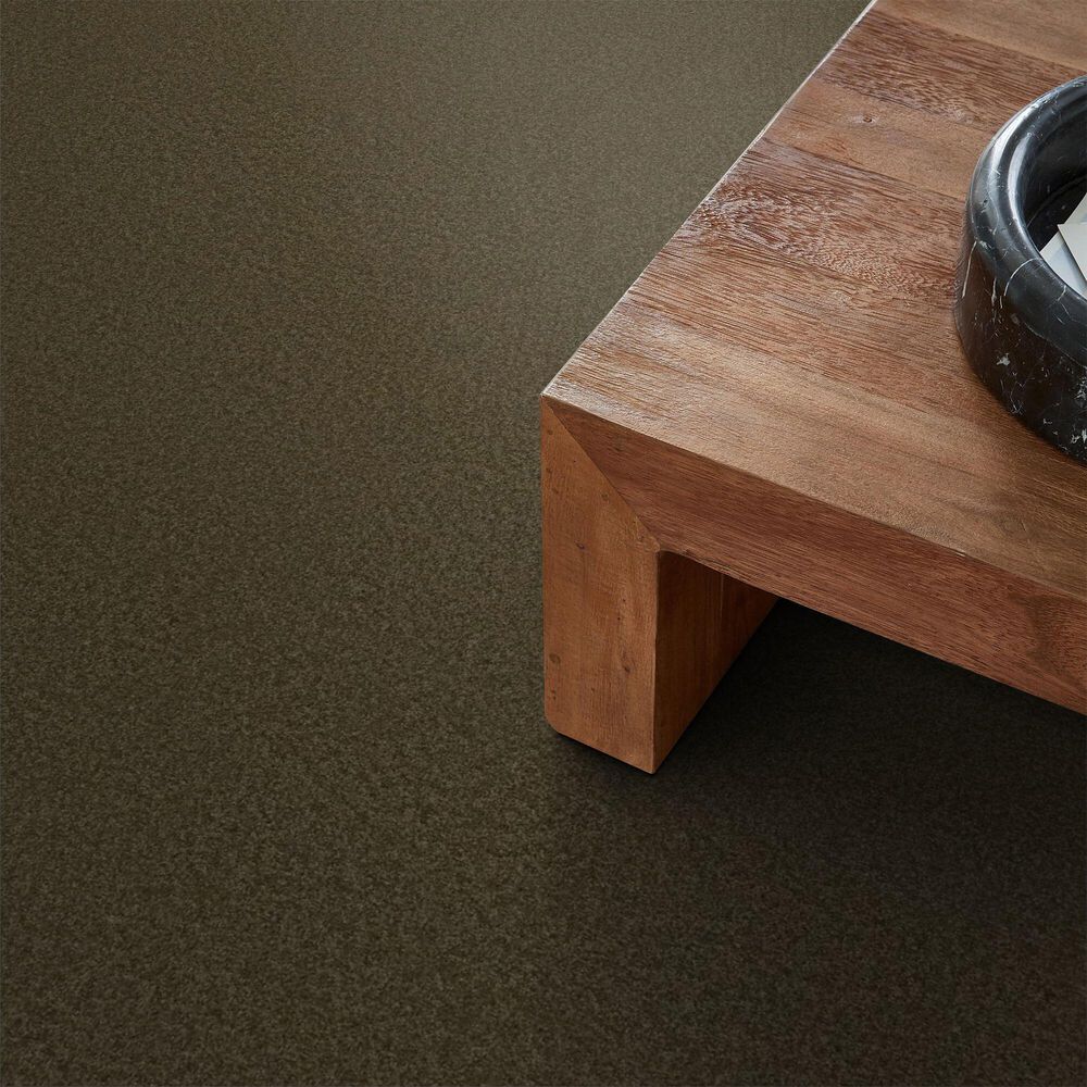 Anderson Tuftex Enchanting Carpet in Dark Olive, , large