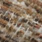 Amber Lewis x Loloi Molly Tobacco and Sage 2"3" x 3"10" Area Rug, , large