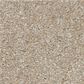 Shaw Good Idea Carpet in Practical Beige, , large