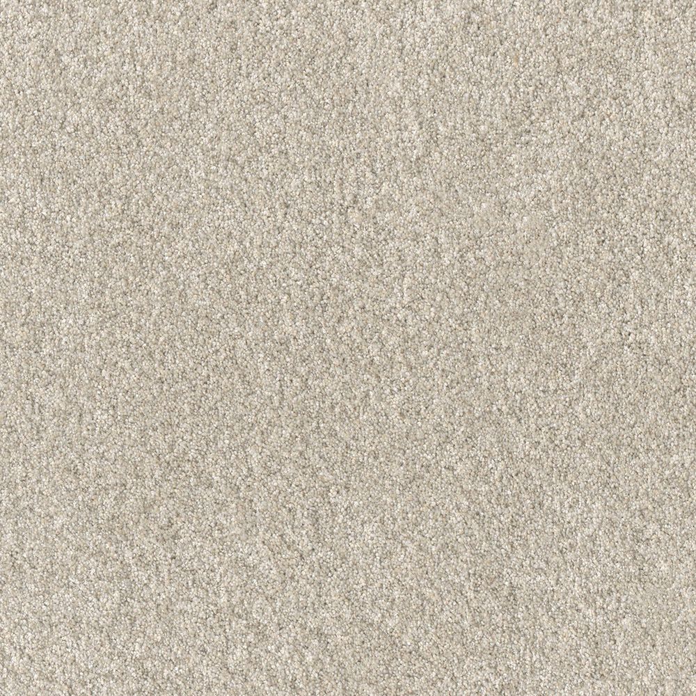 Dream Weaver Affinity IV Carpet in Bisque, , large