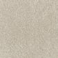 Dream Weaver Affinity IV Carpet in Bisque, , large
