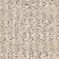 Shaw Insightful Way Carpet in Passageway, , large