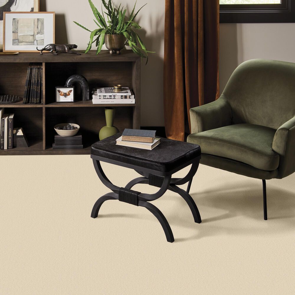 Anderson Tuftex Finery Carpet in Swiss Alps, , large
