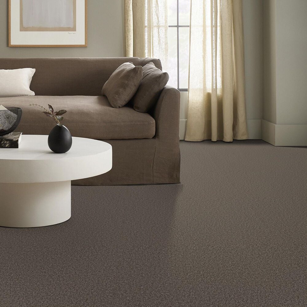 Anderson Tuftex Kaleidoscope Carpet in Open Range, , large