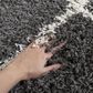 Safavieh Dallas Shag SGD258A-10 10" x 14" Dark Grey/Ivory Area Rug, , large