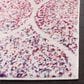 Safavieh Madison MAD604R 3" x 5" Cream and Fuchsia Area Rug, , large