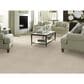 Anderson Tuftex Moondance Carpet in Antique, , large
