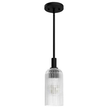 Hunter Beverly Glen Jasmine Roth 1-Light Mini Pendant in Matte Black, , large