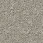 Shaw Way To Go III Carpet in Taupe Tone, , large