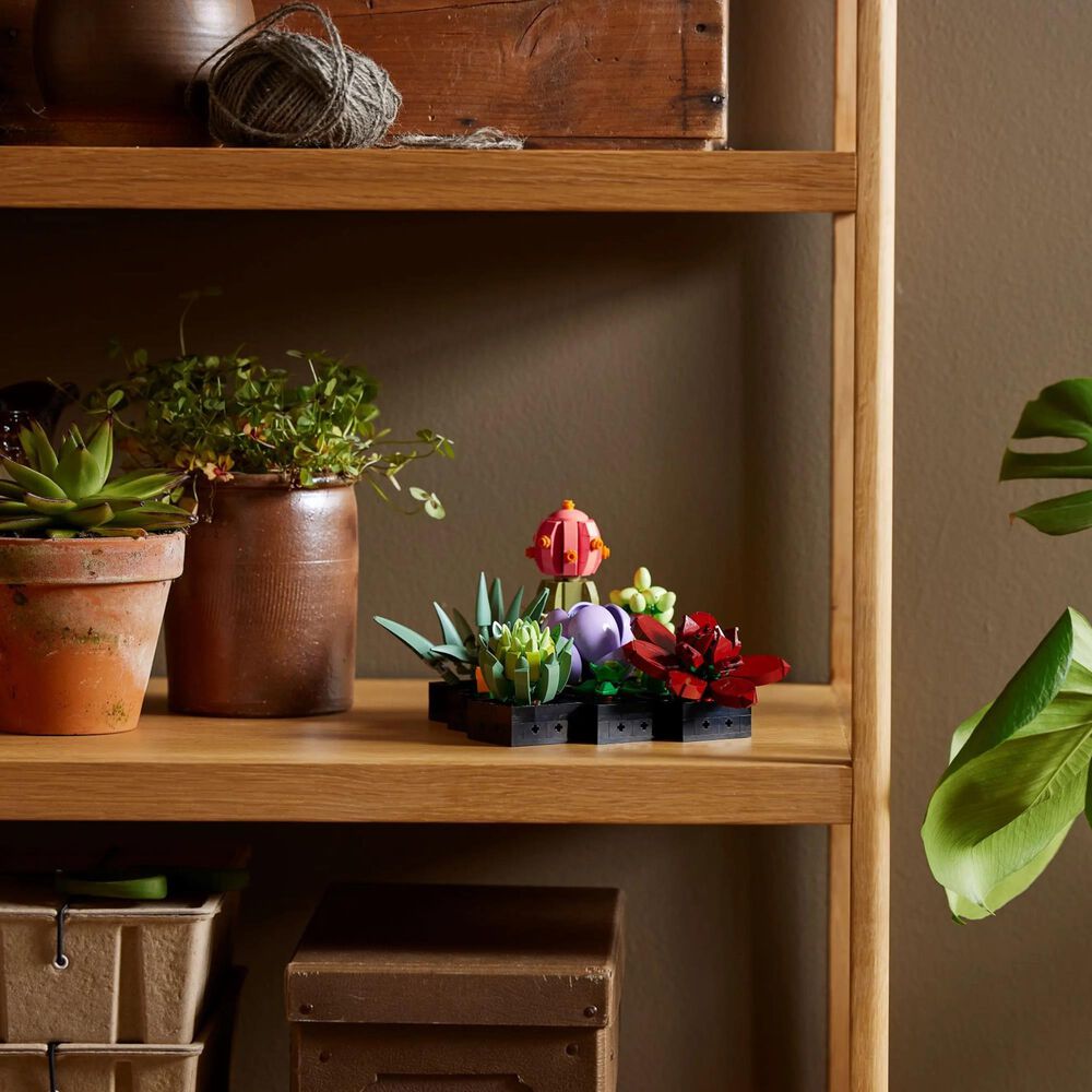 LEGO Botanicals Collection Succulents, , large