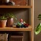 LEGO Botanicals Collection Succulents, , large