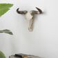 Maple and Jade 12" x 16" Farmhouse Cow Skull Wall Decor in White and Brown, , large