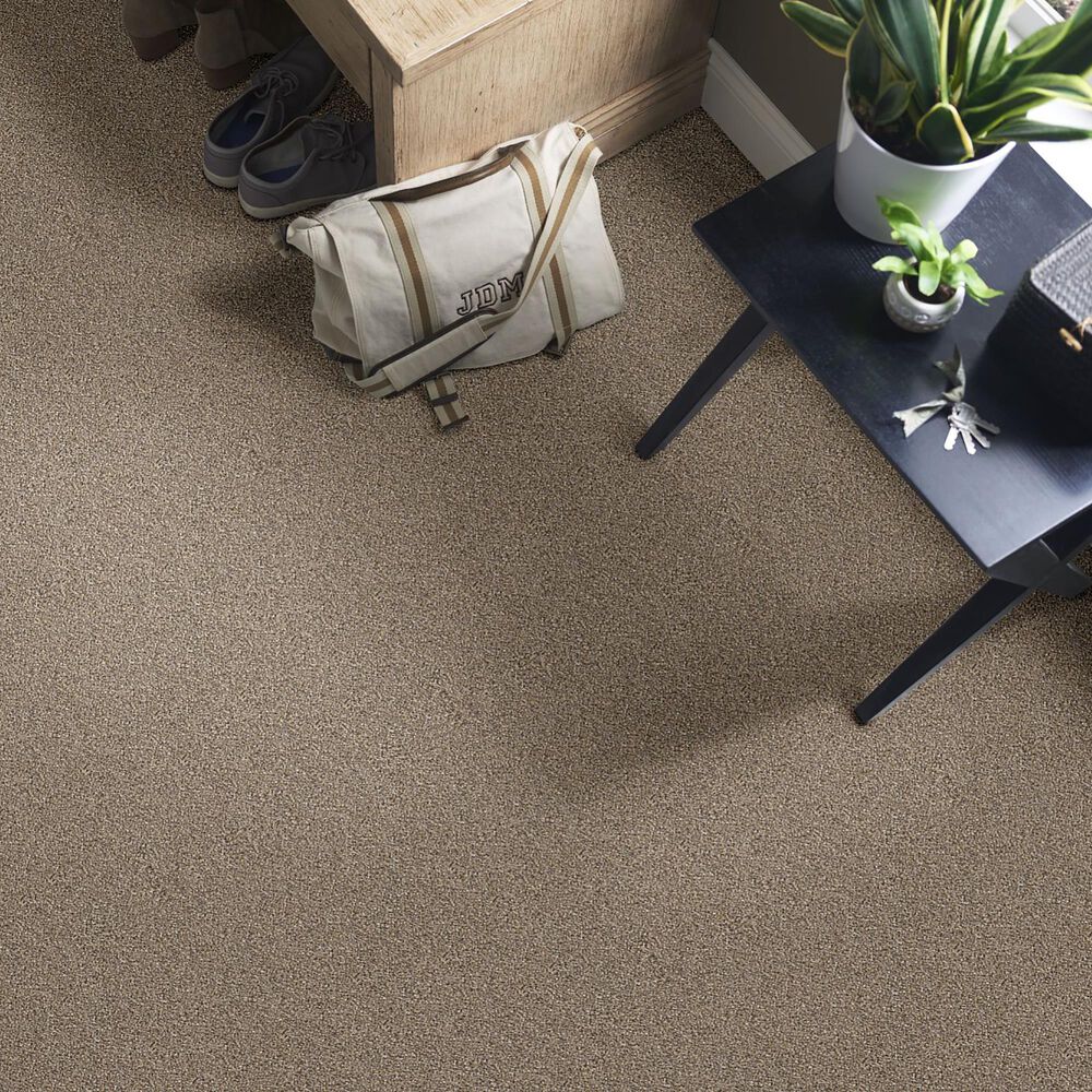 Shaw Influencer Carpet in Raw Wood, , large
