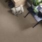 Shaw Influencer Carpet in Raw Wood, , large