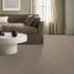 Anderson Tuftex Bossa Nova Carpet in Meditation, , large