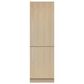 Fisher & Paykel 24" Bottom Freezer Refrigerator with Frost Free in Stainless Steel, , large