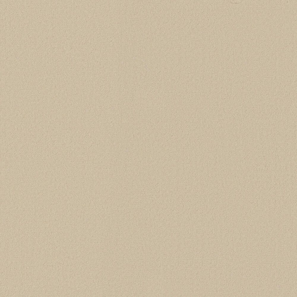 Anderson Tuftex Finery Carpet in Counting Stars, , large