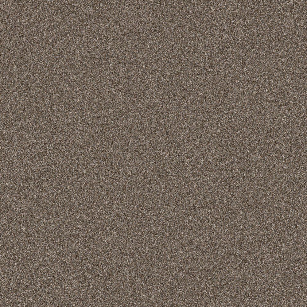 Shaw Tweed Comfort I Carpet in Gathering, , large