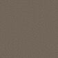 Shaw Tweed Comfort I Carpet in Gathering, , large