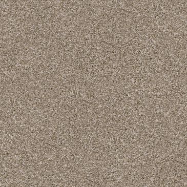 Dixie Home Trapper Carpet in Sheltie, , large