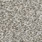 Shaw Just A Hint II Carpet in Sterling, , large