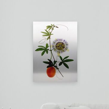 Timberlake Brian Haslam "Passion Flower" 22" x 16"  Floating Brushed Aluminum Art, , large
