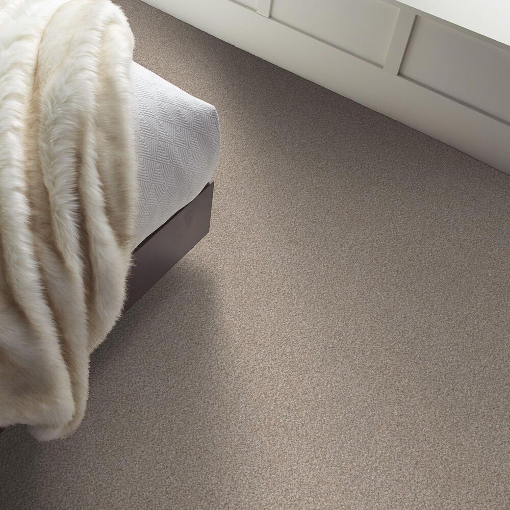 Shaw Truspirit Ii Carpet in Mist, , large