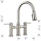 Blanco Empressa Pull-Down Faucet in Polished Nickel, , large