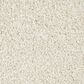 Mohawk Memorable View Carpet in Balsam Beige, , large