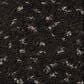 Shaw Elaborate Artifact Carpet in Cafe Noir, , large