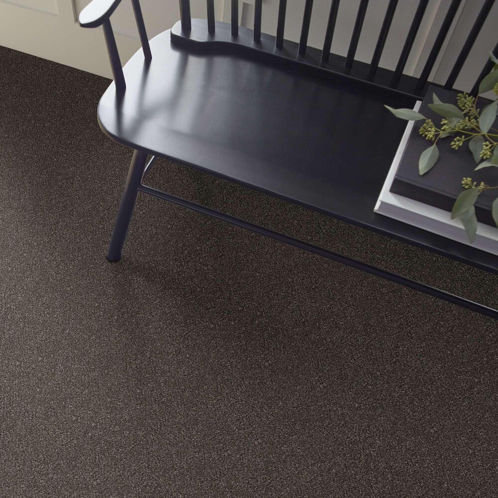 Shaw Without Limits II Carpet in Derby, , large
