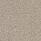 Masland Sandy Beach Carpet in Dry Dock, , large