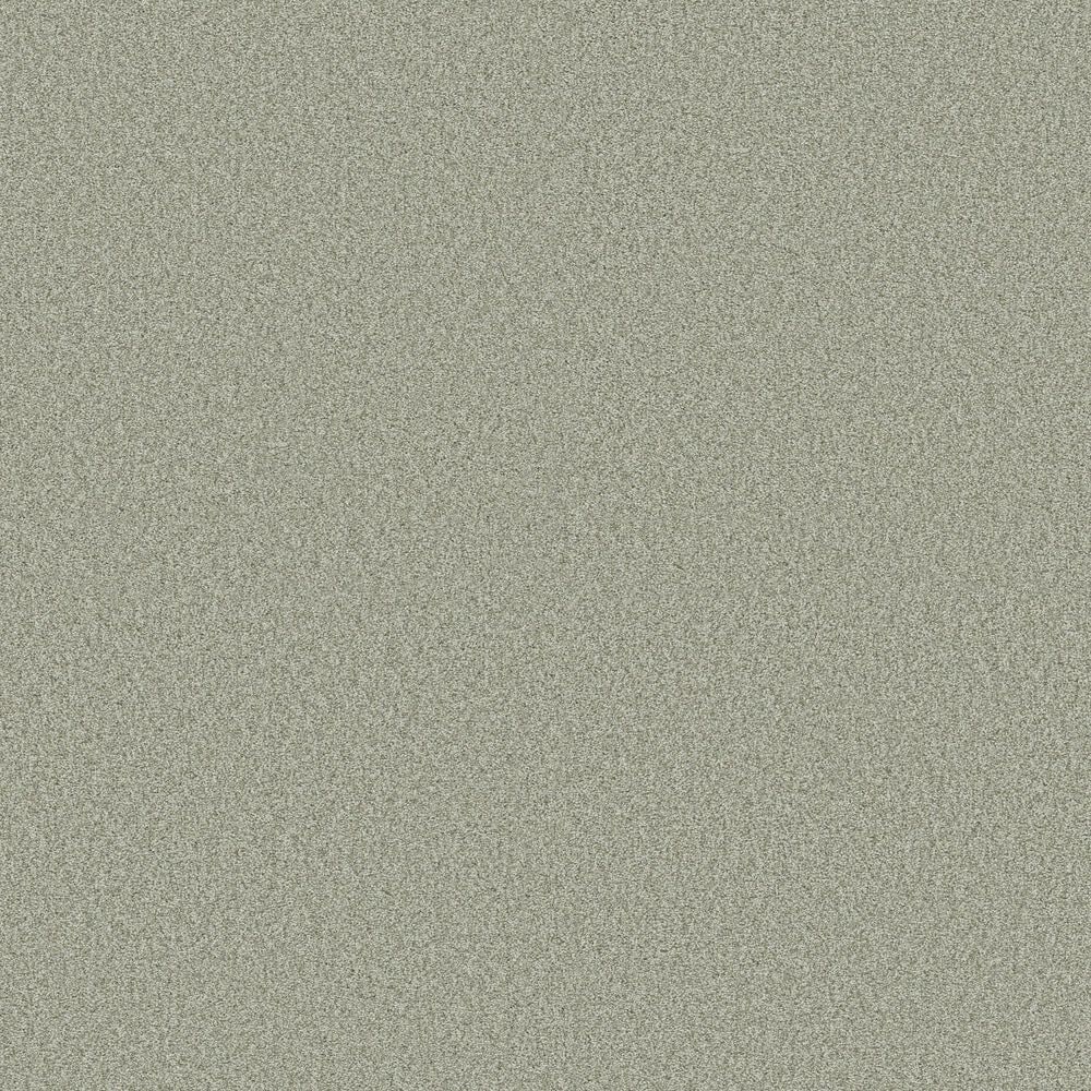 Shaw Tonal Comfort II Carpet in Willow Tree, , large