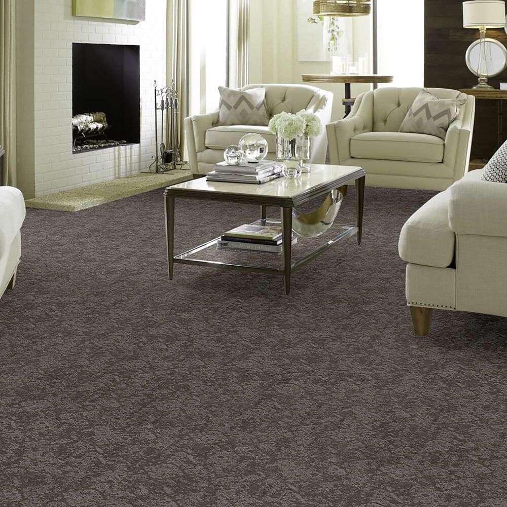 Anderson Tuftex Caress Free Spirit Carpet in Grounded Gray, , large