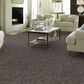 Anderson Tuftex Caress Free Spirit Carpet in Grounded Gray, , large