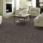 Anderson Tuftex Caress Free Spirit Carpet in Grounded Gray, , large