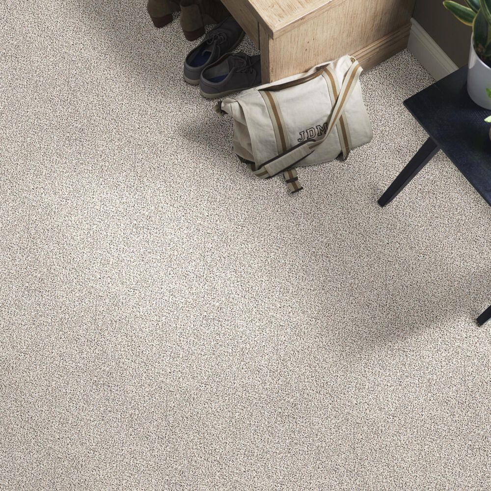 Shaw Foundations Take The Floor Accent II Carpet in Avalanche, , large
