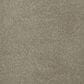 Dream Weaver PS260 Carpet in Warm Teak, , large