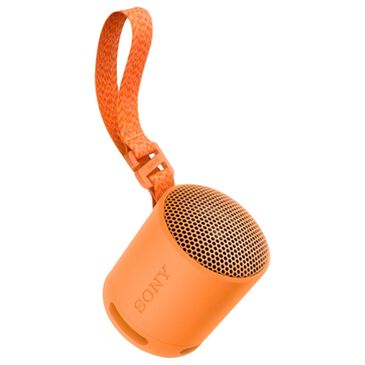 Sony XB100 Compact Bluetooth Wireless Speaker in Orange, , large