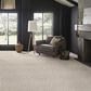 Anderson Tuftex Loom Carpet in Putty, , large