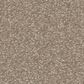 Shaw Awaken Spirit II 12" Carpet in Fresco, , large