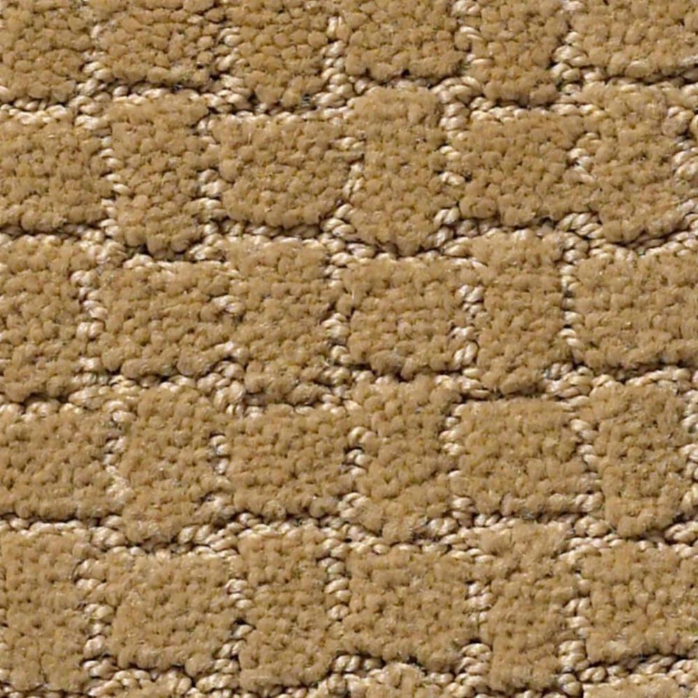 Anderson Tuftex Pawstruck Carpet in Golden Straw, , large