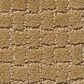 Anderson Tuftex Pawstruck Carpet in Golden Straw, , large