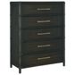 Hooker Furniture Retreat 6-Drawer Chest in Black Sand, , large