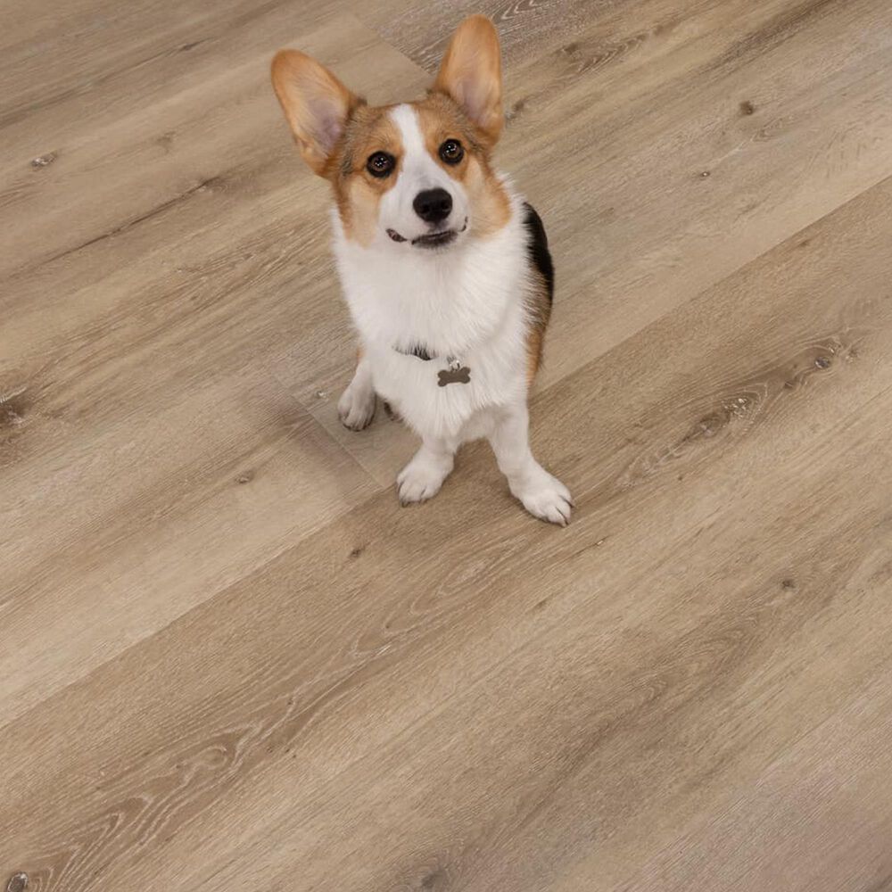 Cali Flooring Santa Cruz Aged Hickory 9" x 72" Laminate, , large