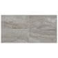 Dal-Tile Famed Fortune 12" x 24" Polished Porcelain Tile, , large