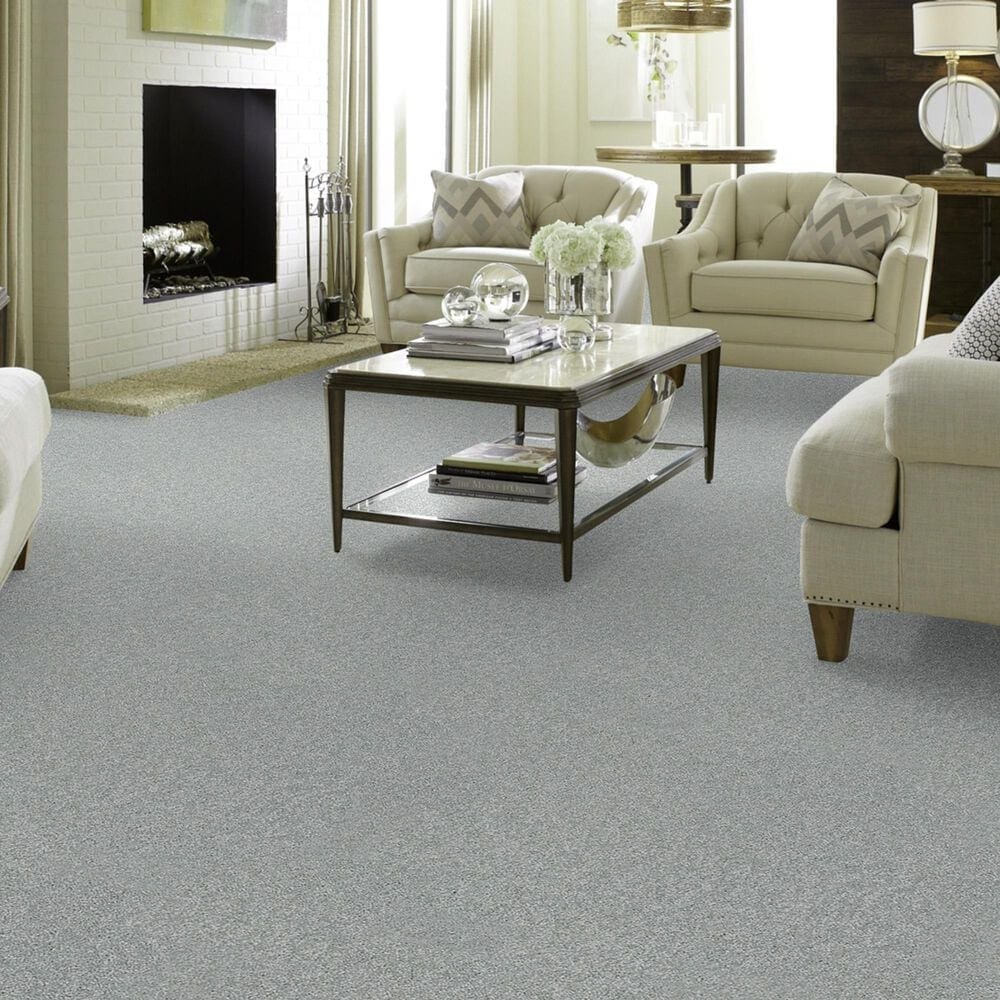 Shaw Foundations Take The Floor Texture II Carpet in Pewter, , large